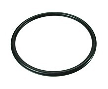 503403  - O-Ring f�r Filter 5" und 10"