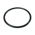 O-Ring f�r Filter 5